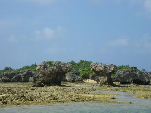e0123808_21274427.jpg