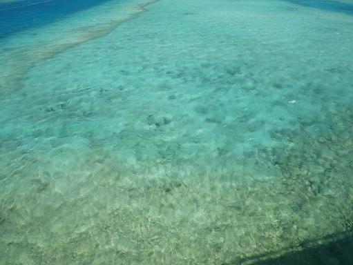 e0123808_2127526.jpg