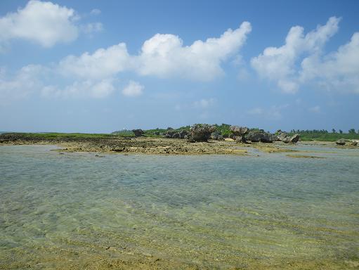e0123808_21281477.jpg