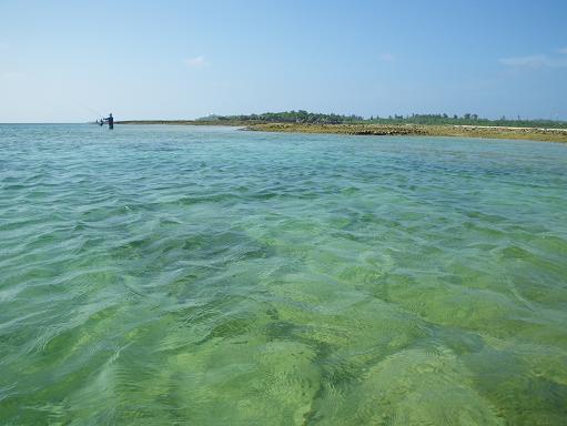 e0123808_21312079.jpg