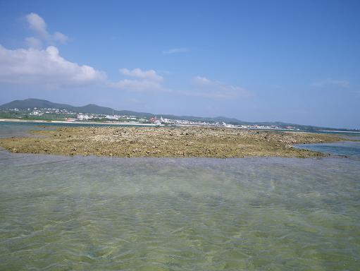 e0123808_21323774.jpg
