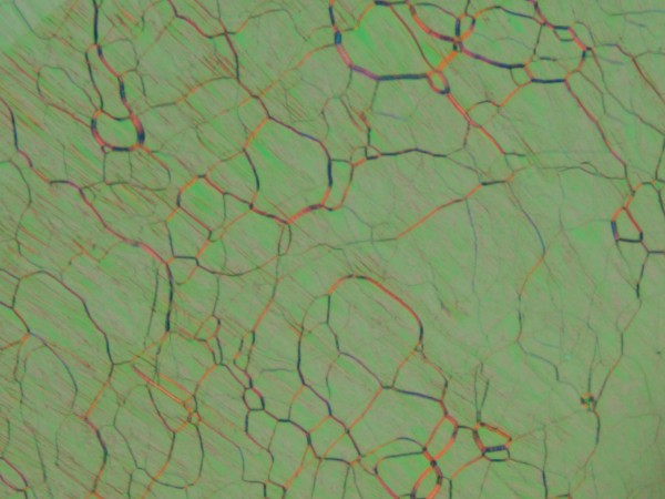 c0164709_211118.jpg