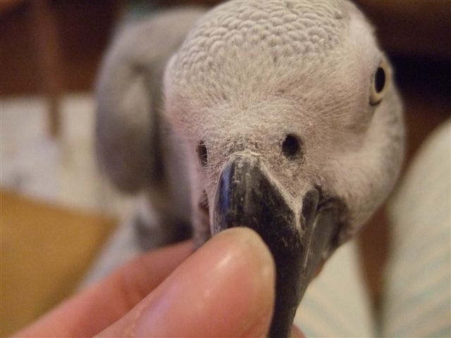 c0133013_13222518.jpg