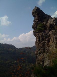 e0132713_813059.jpg