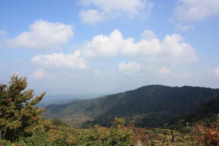 e0132713_884336.jpg