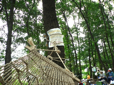 c0068314_0311083.jpg