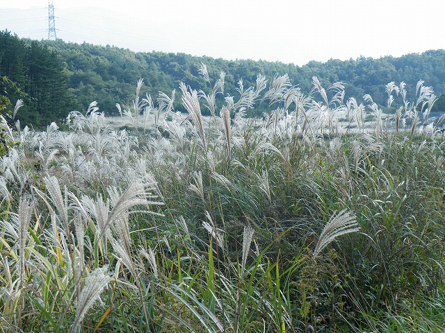 f0166114_21554458.jpg