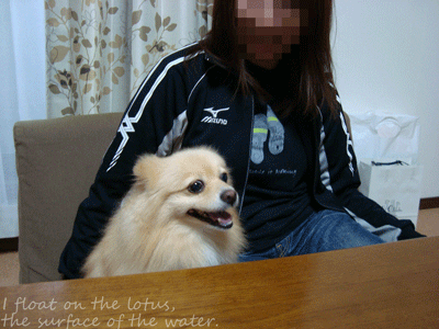 b0075318_18215171.gif