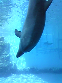 a0019322_1921185.jpg