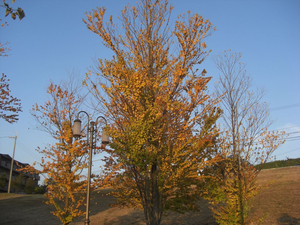 e0142430_22293230.jpg