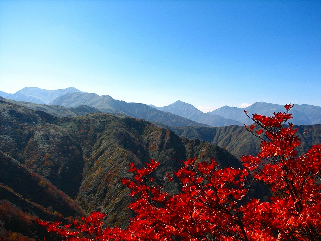 b0097836_19175729.jpg