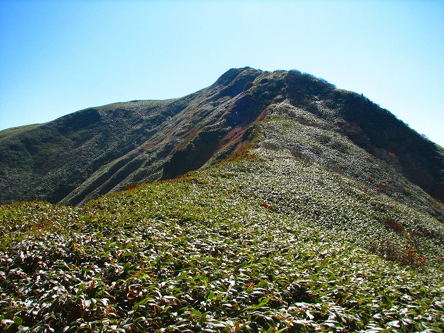 b0097836_19204249.jpg