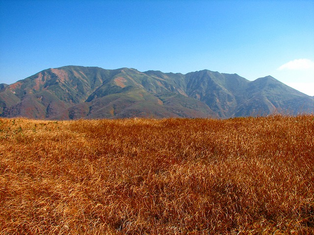 b0097836_192445100.jpg