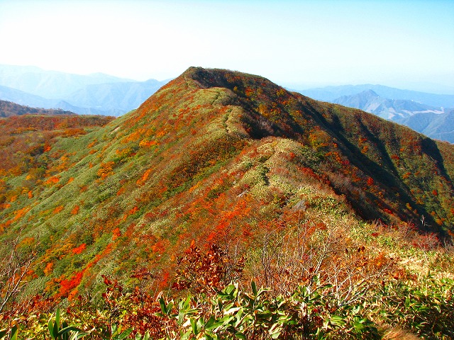 b0097836_19273558.jpg