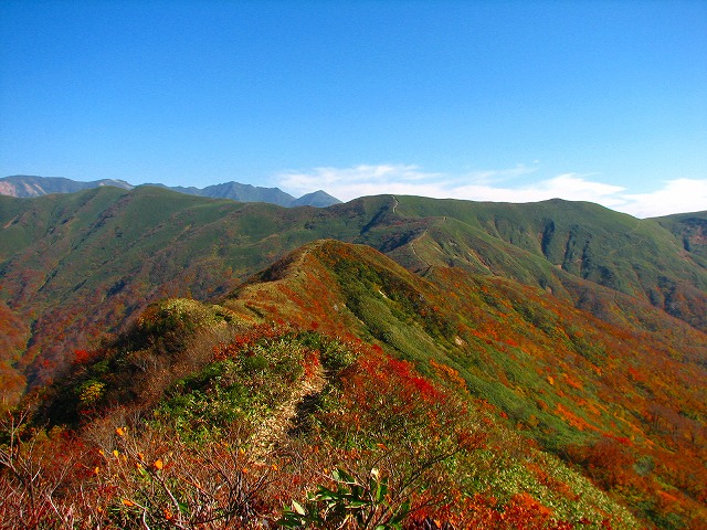 b0097836_19281861.jpg