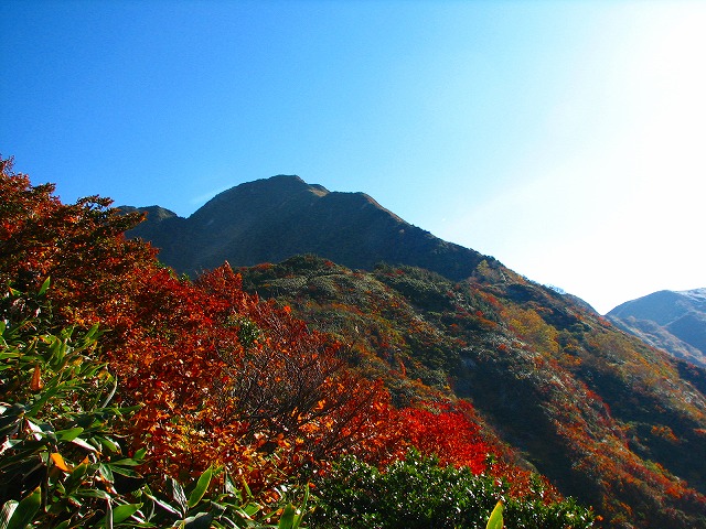 b0097836_1975997.jpg