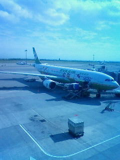 a0089739_2201010.jpg