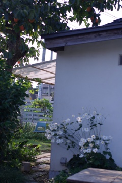 b0057839_21143785.jpg