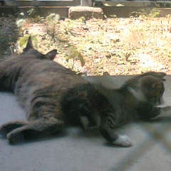 f0159039_23393322.jpg