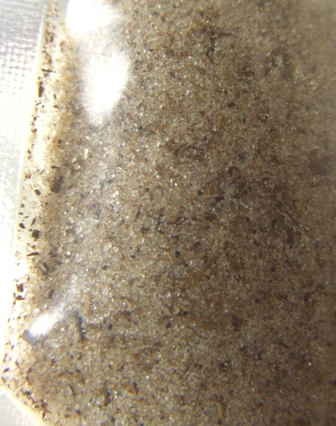 f0007041_1444328.jpg