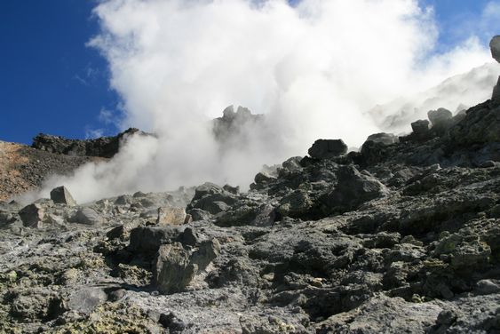 e0007544_03041.jpg