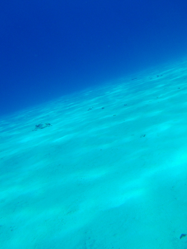 f0184244_2057377.jpg