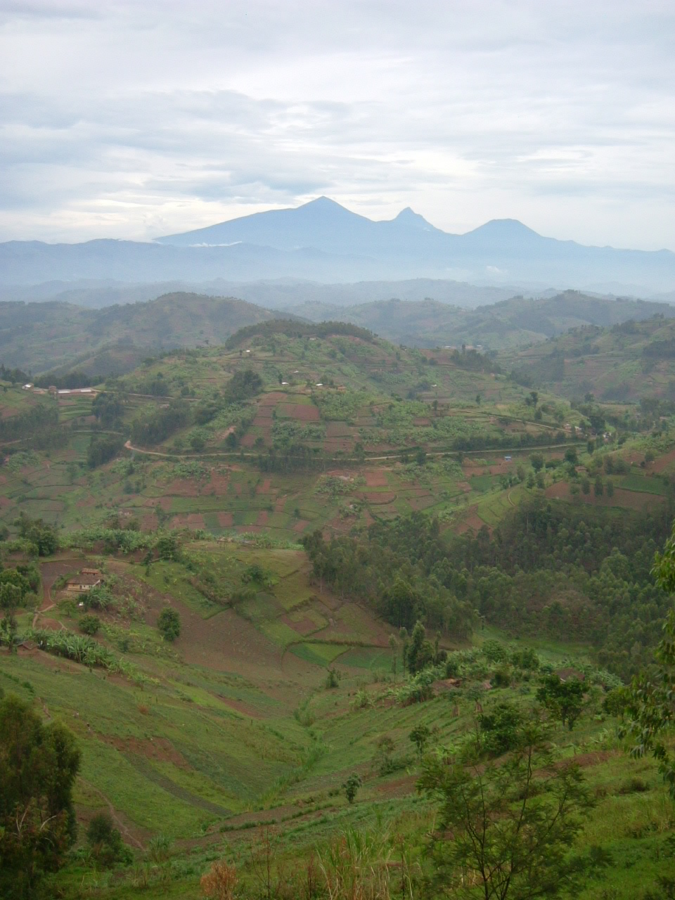 d0135148_1322063.jpg
