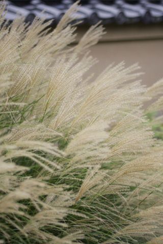 a0024250_23314593.jpg