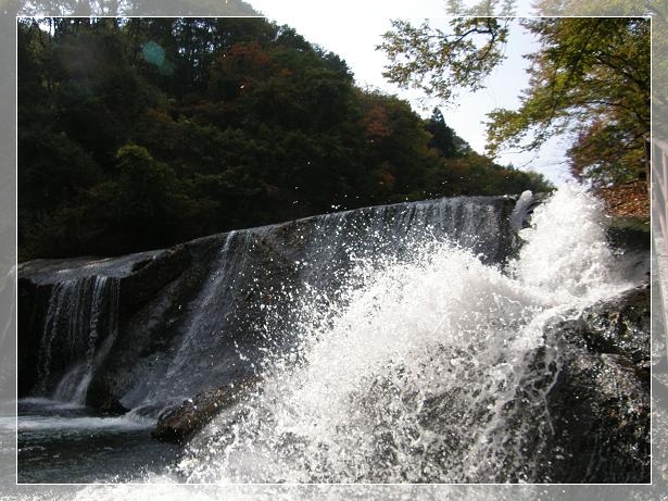 c0145250_1143025.jpg