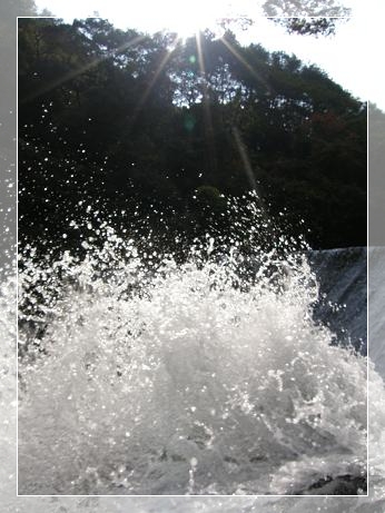 c0145250_1182314.jpg