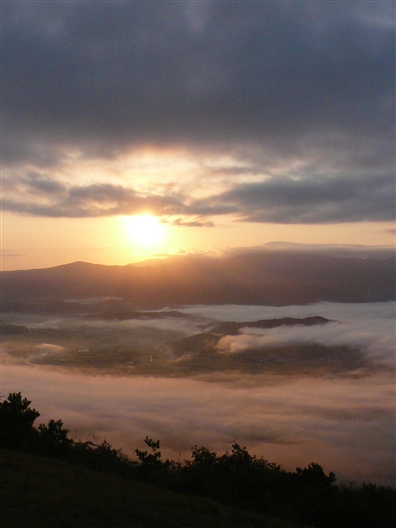 b0072651_16514965.jpg