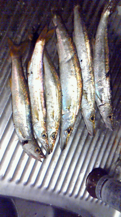 c0019951_2243465.jpg