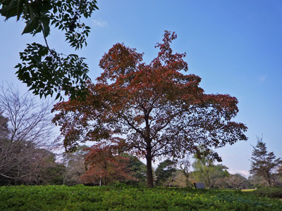 b0045357_14483886.jpg