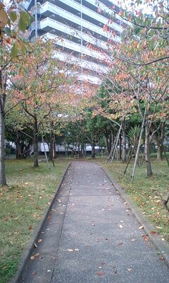 a0064865_2326325.jpg