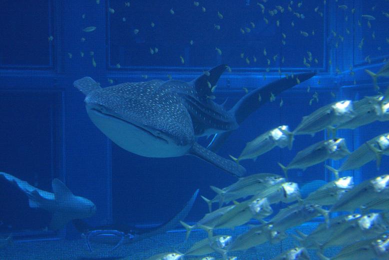 c0153672_18184447.jpg