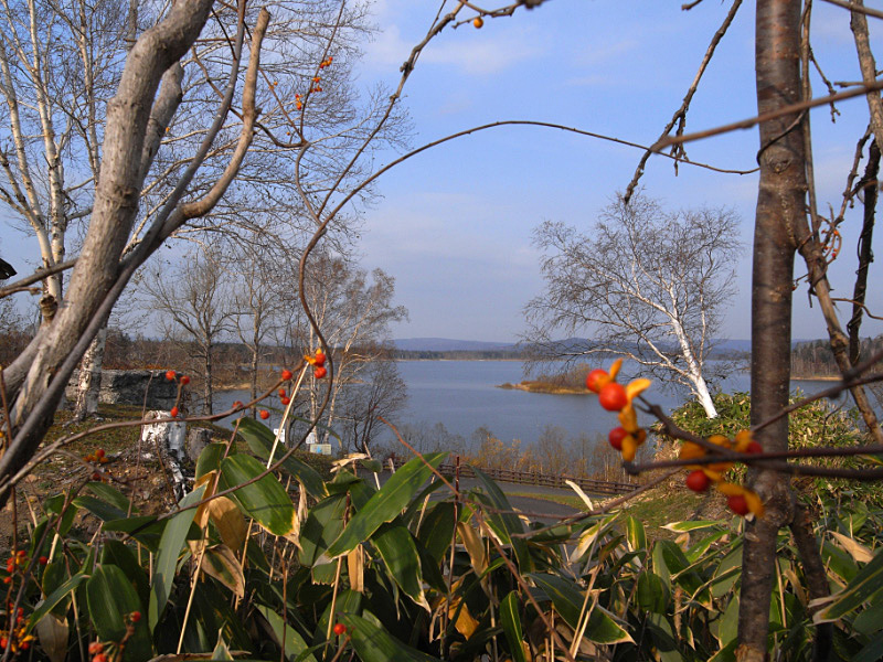 e0100772_2213647.jpg