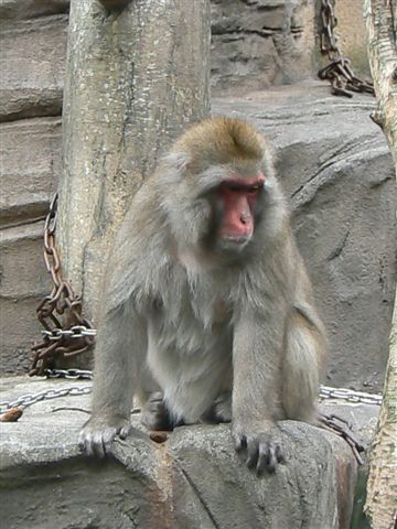 c0157575_14403256.jpg