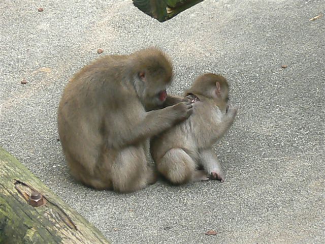 c0157575_14413875.jpg