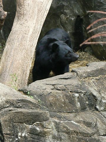 c0157575_14444215.jpg