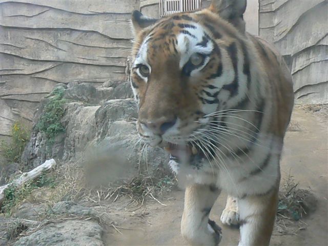 c0157575_14454438.jpg