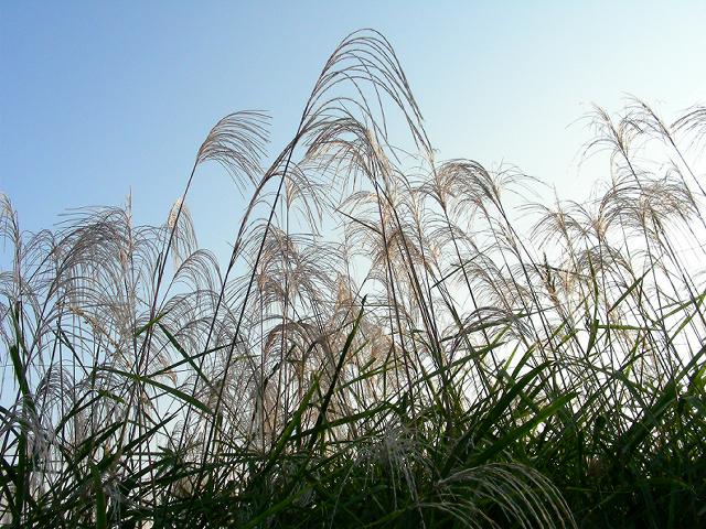 a0044076_23315737.jpg
