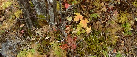 a0091680_21553140.jpg