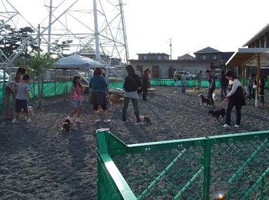 e0100584_1836414.jpg