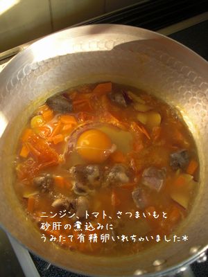 b0000885_8164739.jpg