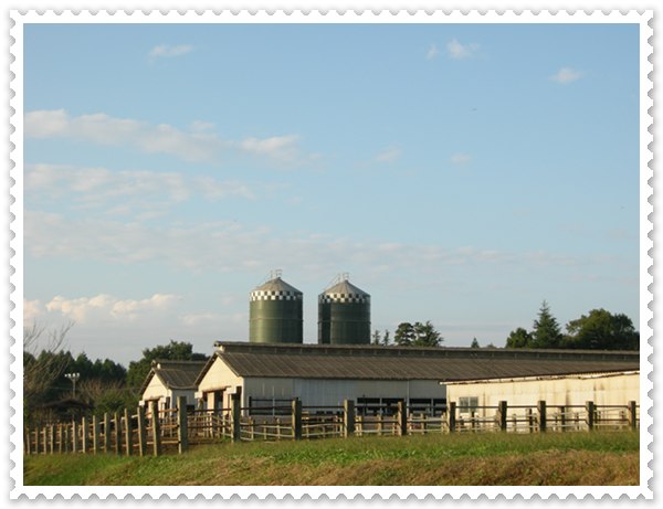 d0001985_02376.jpg