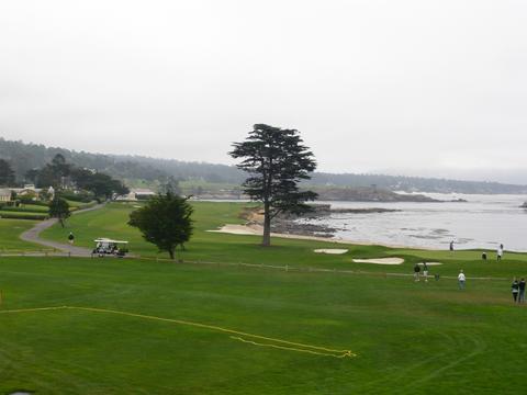 f0181488_6174934.jpg