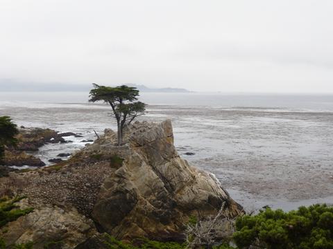 f0181488_618727.jpg