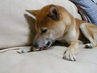 c0123890_2058310.jpg