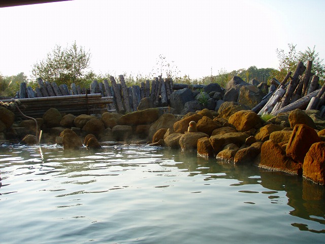 a0067991_1155934.jpg