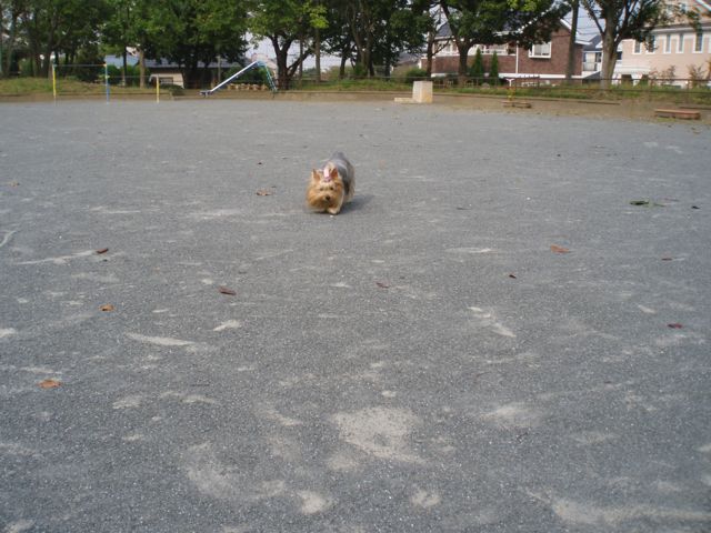 f0130894_21131887.jpg